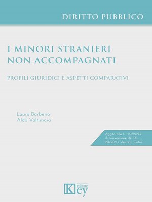 cover image of I minori stranieri non accompagnati